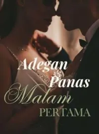 Sampul Novel Adegan Panas Malam Pertama