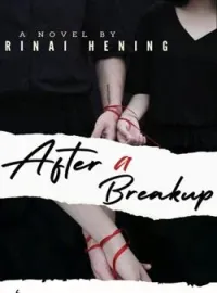 Sampul Novel After a Breakup