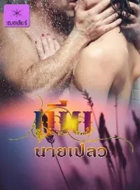 ภาพปกนิยาย เมียนายเปลว