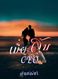 ภาพปกนิยาย เมียลับCEO