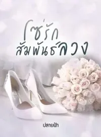 ภาพปกนิยาย โซ่รักสัมพันธ์ลวง