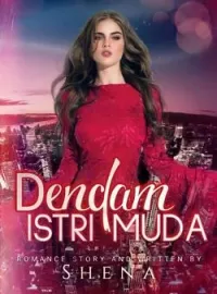 Sampul Novel Dendam Istri Muda 