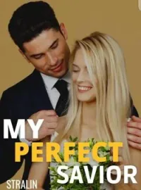 Sampul Novel My Perfect Hero