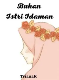 Sampul Novel Bukan Istri Idaman