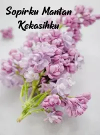 Sampul Novel Sopirku Mantan Kekasihku