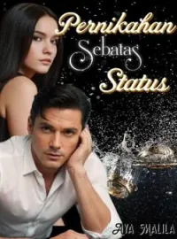 Sampul Novel Pernikahan Sebatas Status