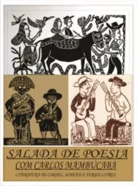 Capa do Romance SALADA DE POESIA