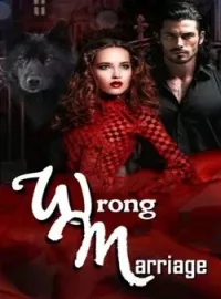 Sampul Novel Wrong Marriage 