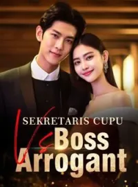 Sampul Novel Sekretaris Cupu Vs Boss Arrogant 
