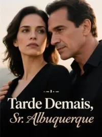 Capa do Romance Tarde Demais, Sr. Albuquerque