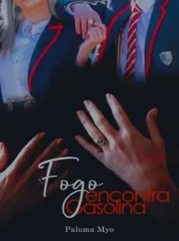 Capa do Romance Fogo Encontra Gasolina