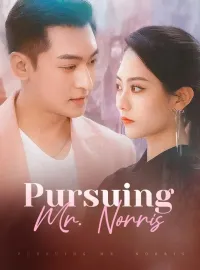 Pursuing Mr. Norris