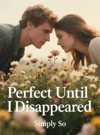 Perfect Until I Disappeared Novel Cover