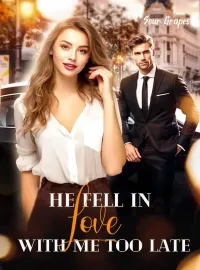 He Fell in Love with Me Too Late Novel Cover