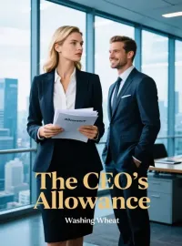 The CEO’s Allowance Novel Cover