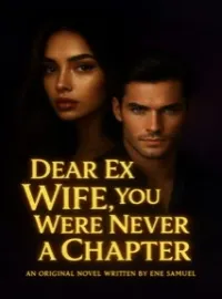 DEAR EX WIFE,YOU WERE NEVER A CHAPTER  Novel Cover