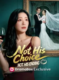 Not His Choice, Not His Ending(DUBBED)