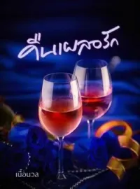 ภาพปกนิยาย คืนเผลอรัก