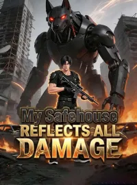 My Safehouse Reflects All Damage