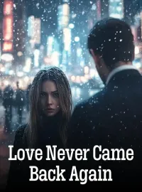 Love Never Came Back Again Novel Cover