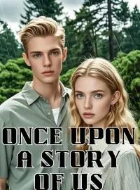 Once Upon a Story of Us Novel Cover