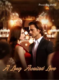 A Long Awaited Love Novel Cover