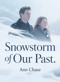 Snowstorm of Our Past Novel Cover