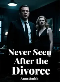 Never Seen After the Divorce Novel Cover