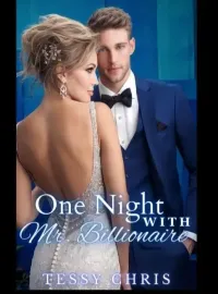 One Night With Mr Billionaire  Novel Cover