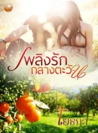 ภาพปกนิยาย เพลิงรักกลางตะวัน