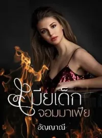ภาพปกนิยาย เมียเด็กจอมมาเฟีย