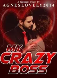Sampul Novel My Crazy Boss