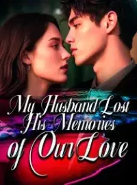 My Husband Lost His Memories of Our Love Novel Cover