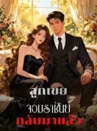 ภาพปกนิยาย ลูกเขยจอมราชันย์กลับมาแล้ว