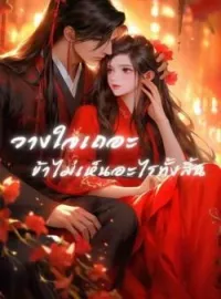 ภาพปกนิยาย วางใจเถอะ  ข้าไม่เห็นอะไรทั้งสิ้น