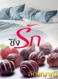 ภาพปกนิยาย ชิงรัก