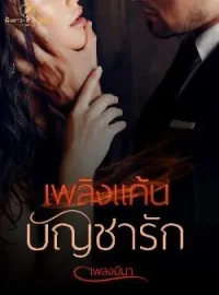 ภาพปกนิยาย เพลิงแค้นบัญชารัก