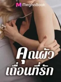 ภาพปกนิยาย คุณผัวเถื่อนที่รัก ชุด พ่อทูนหัว