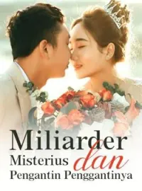 Sampul Novel Miliarder Misterius dan Pengantin Penggantinya