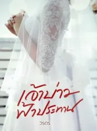 ภาพปกนิยาย เจ้าบ่าวฟ้าประทาน