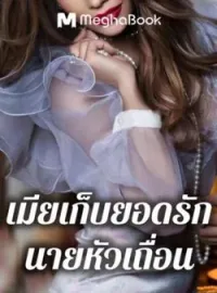 ภาพปกนิยาย เมียเก็บยอดรักนายหัวเถื่อน