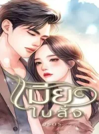 ภาพปกนิยาย เมียใบสั่ง