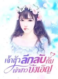 ภาพปกนิยาย เจ้าสัวลึกลับกับเจ้าสาวบังเอิญ