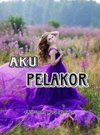 Sampul Novel AKU PELAKOR