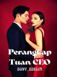 Sampul Novel Perangkap Tuan CEO