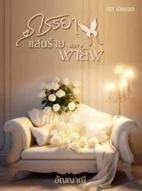 ภาพปกนิยาย ภรรยาแสนร้ายของพายัพ