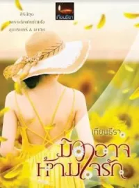 ภาพปกนิยาย มิอาจห้ามใจรัก