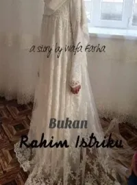 Sampul Novel Bukan Rahim Istriku