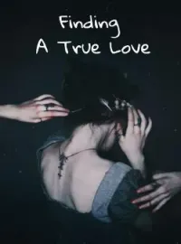 Sampul Novel Finding A True Love