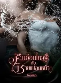 ภาพปกนิยาย คืนอ่อนไหวกับชายแปลกหน้า
